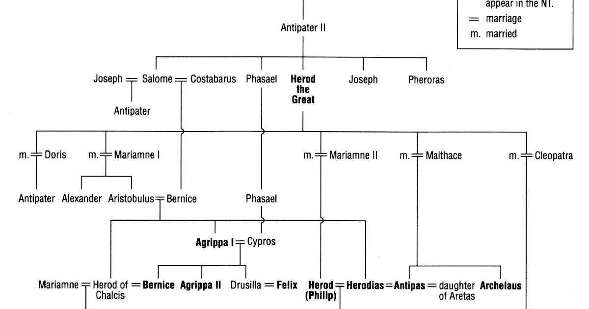 L'Ultima Thule Albero genealogico della dinastia di Erode jpg (1200x630)